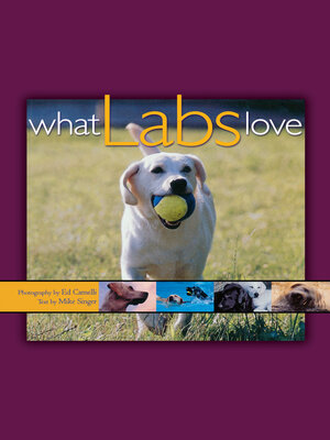 cover image of What Labs Love